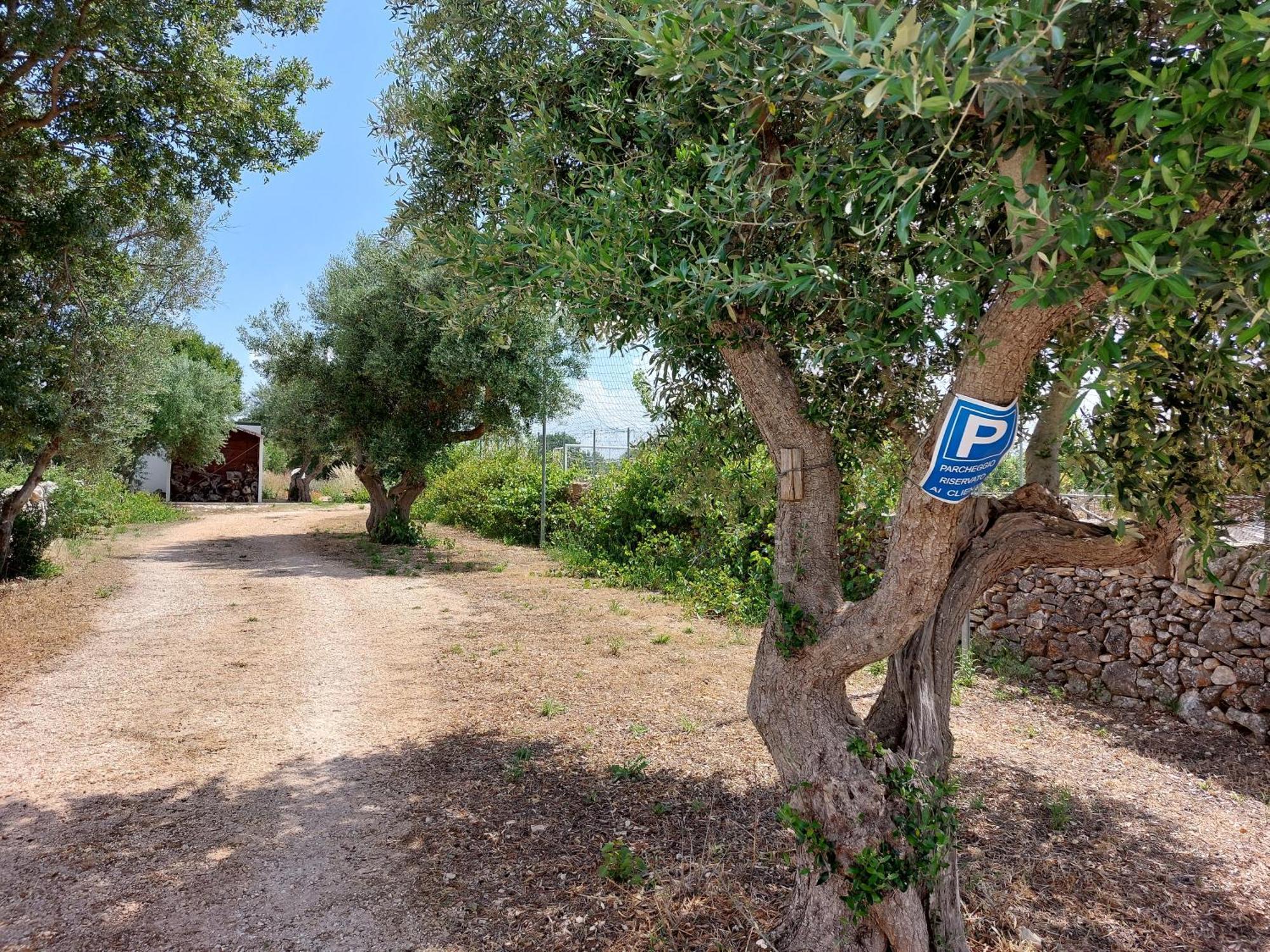 Trulli Don Diego Panzió Noci Kültér fotó