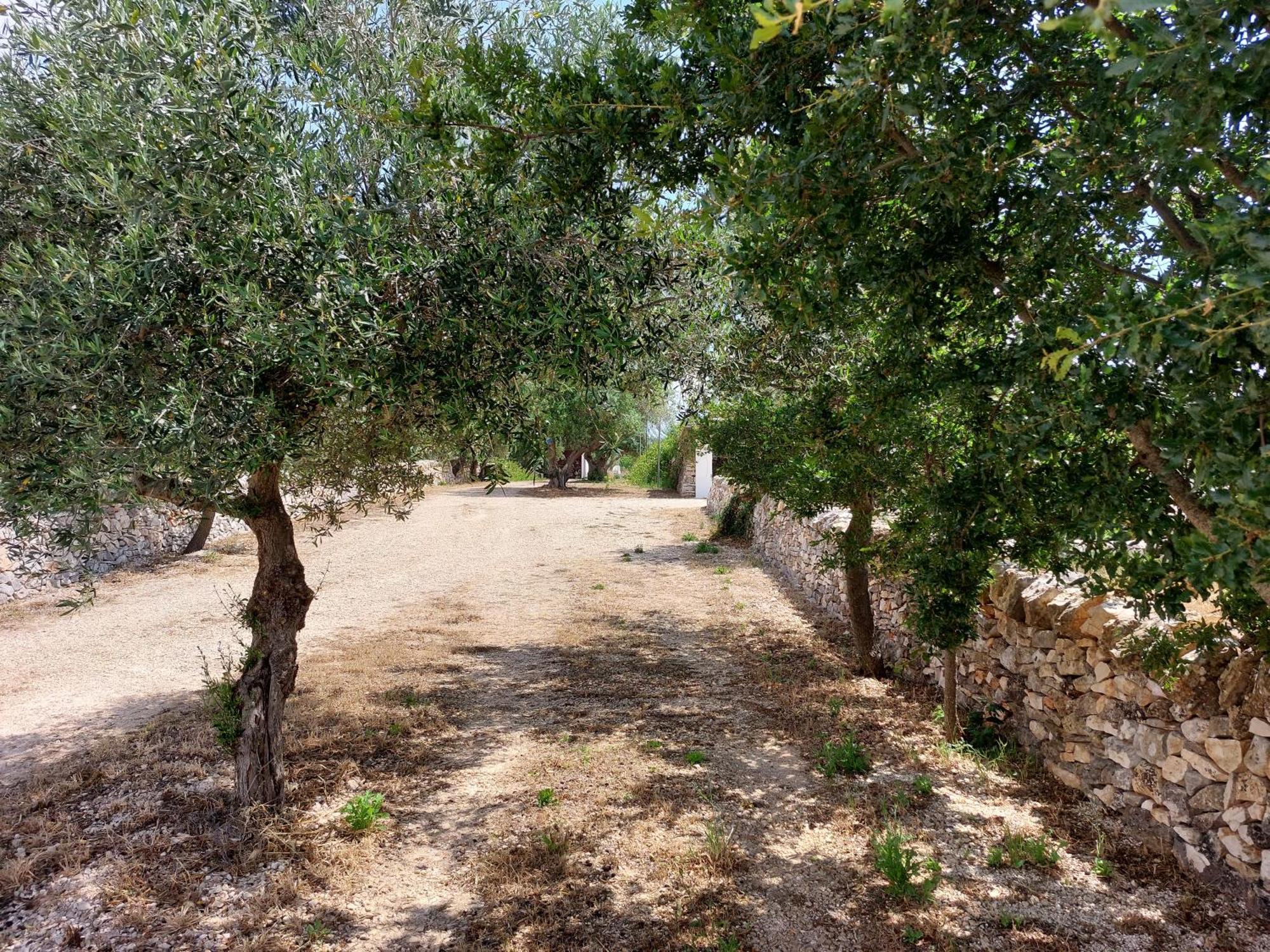 Trulli Don Diego Panzió Noci Kültér fotó